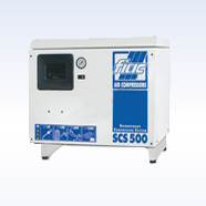SCS 500
